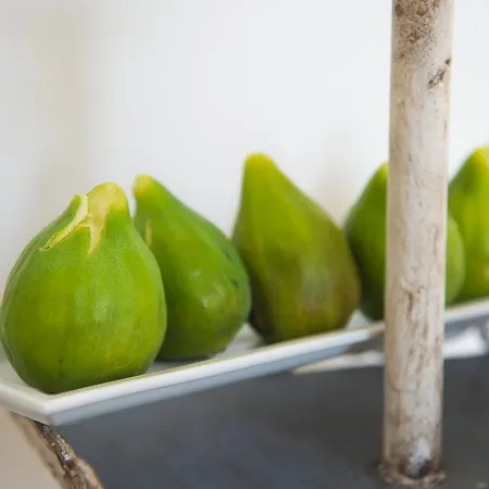 Dimora Del Duca Coyntry Lecce, Masseria B&B 4*