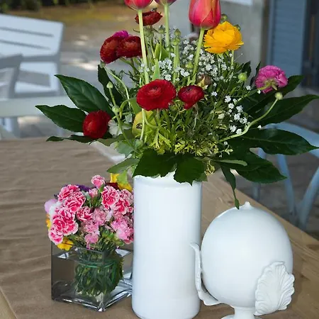 Dimora Del Duca Coyntry Lecce, Masseria B&B Monteroni di Lecce