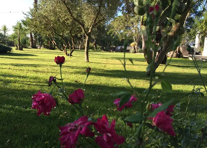Dimora Del Duca Coyntry Lecce, Masseria 4*